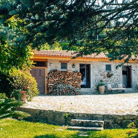The Quixote House Bed and Breakfast Caminha Exteriör bild